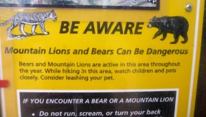 A little more exciting than the walk up Mt Kau Kau...